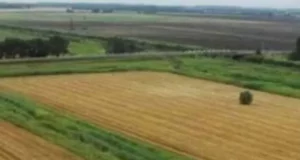На Волині судять посадовців за шкоду державі понад 8,3 млн грн