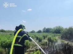 Поблизу села Тойкут горить торфовище площею майже 8 гектарів