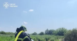 Поблизу села Тойкут горить торфовище площею майже 8 гектарів