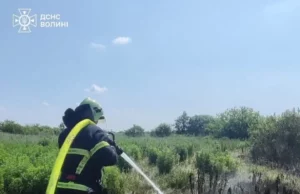 Поблизу села Тойкут горить торфовище площею майже 8 гектарів