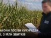 На Волині завершили розслідування масштабної земельної схеми