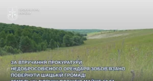 У Шацькій громаді недобросовісний орендар поверне 6 гектарів землі
