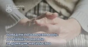 У селі Тур засудили жінку за жорстоке насильство над матір'ю