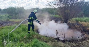 Рятувальники Волині гасять дві пожежі торфу біля сіл Топилище та Сильне