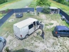 На Волині біля села Вербка чоловіки з лопатами й ломами пошкодили два авто ТЦК