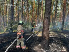 На Волині за добу зафіксували дев’ять пожеж в екосистемах