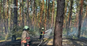 На Волині за добу зафіксували дев’ять пожеж в екосистемах