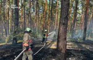 На Волині за добу зафіксували дев’ять пожеж в екосистемах На Волині за добу зафіксували дев’ять пожеж в екосистемах