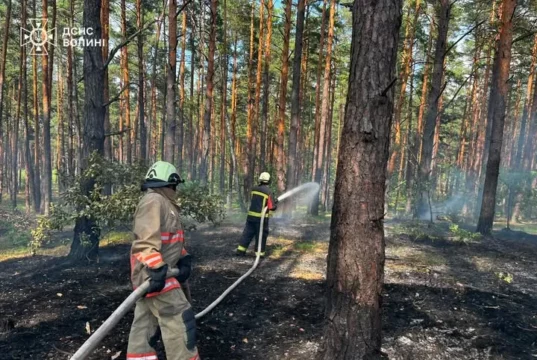 На Волині за добу зафіксували дев’ять пожеж в екосистемах