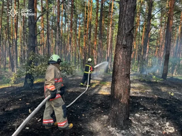 image На Волині за добу зафіксували дев’ять пожеж в екосистемах