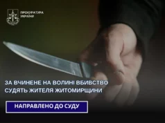 За вбивство на АЗС у Старовойтовому судитимуть жителя Житомирщини