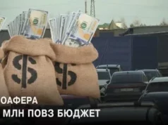 На Волині розслідують 34 провадження щодо ввезення вживаних авто