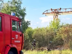 На Ковельщині за день ліквідували дві пожежі сухостою