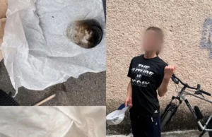 У Луцьку велопатруль виявив у жінки предмет із ймовірними наркотичними речовинами У Луцьку велопатруль виявив у жінки предмет із ймовірними наркотичними речовинами