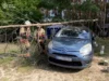 У Соловичах рятувальники прибрали дерево з легкового автомобіля У Соловичах рятувальники прибрали дерево з легкового автомобіля