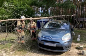У Соловичах рятувальники прибрали дерево з легкового автомобіля У Соловичах рятувальники прибрали дерево з легкового автомобіля