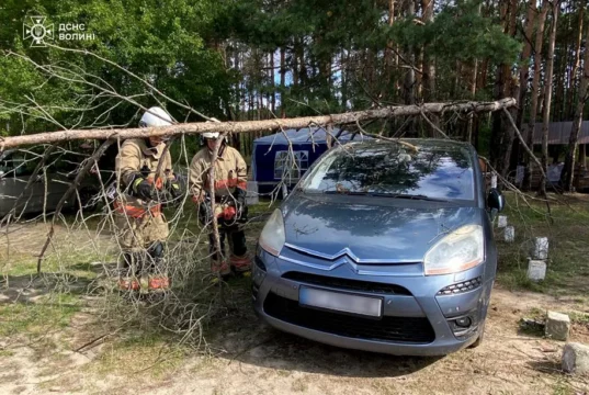 У Соловичах рятувальники прибрали дерево з легкового автомобіля
