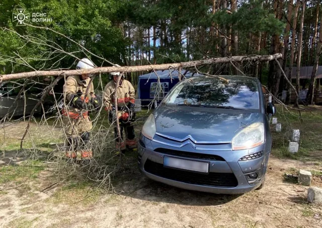 image У Соловичах рятувальники прибрали дерево з легкового автомобіля