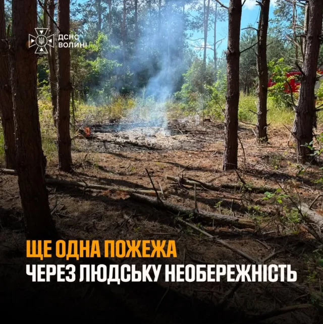 image У Соловичах загорілася суха трава: рятувальники загасили пожежу за 20 хвилин
