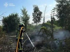 На Волині за добу ліквідували чотири пожежі на відкритих територіях На Волині за добу ліквідували чотири пожежі на відкритих територіях