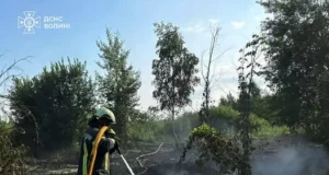 На Волині за добу ліквідували чотири пожежі на відкритих територіях