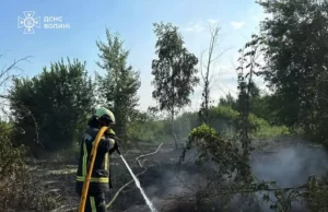 На Волині за добу ліквідували чотири пожежі на відкритих територіях