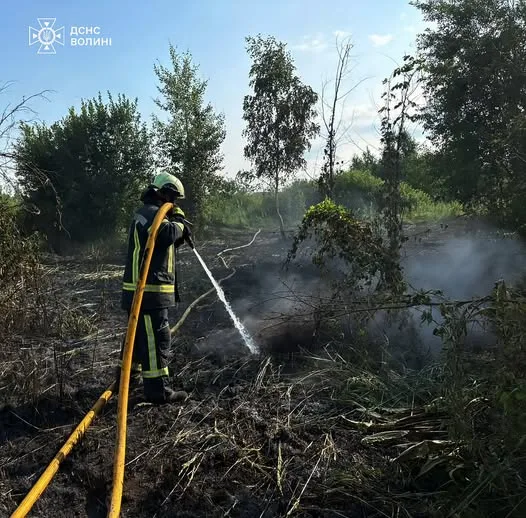 image На Волині за добу ліквідували чотири пожежі на відкритих територіях