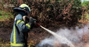 На Волині за добу загасили дві пожежі на торфовищах