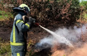 На Волині за добу загасили дві пожежі на торфовищах