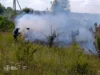 На Волині за добу чотири рази гасили займання сухостою На Волині за добу чотири рази гасили займання сухостою