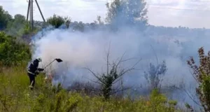 На Волині за добу чотири рази гасили займання сухостою