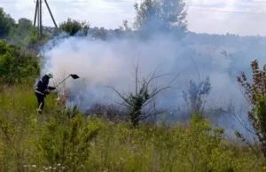 На Волині за добу чотири рази гасили займання сухостою