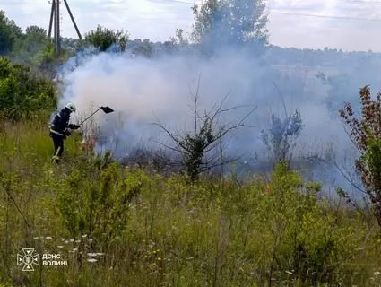 image На Волині за добу чотири рази гасили займання сухостою