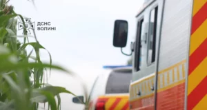 Поблизу села Холопичі сапери ДСНС знешкоджують боєприпаси минулих воєн