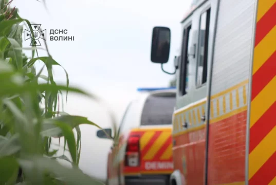 Поблизу села Холопичі сапери ДСНС знешкоджують боєприпаси минулих воєн