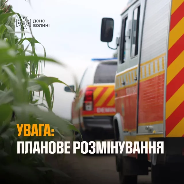 image Поблизу села Холопичі сапери ДСНС знешкоджують боєприпаси минулих воєн