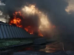 У Голишеві Луцького району загорілася складська будівля У Голишеві Луцького району загорілася складська будівля