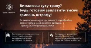 У Турійській громаді з початку року зафіксували 6 пожеж у природі