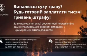 (Українська) У Турійській громаді з початку року зафіксували 6 пожеж у природі У Турійській громаді з початку року зафіксували 6 пожеж у природі