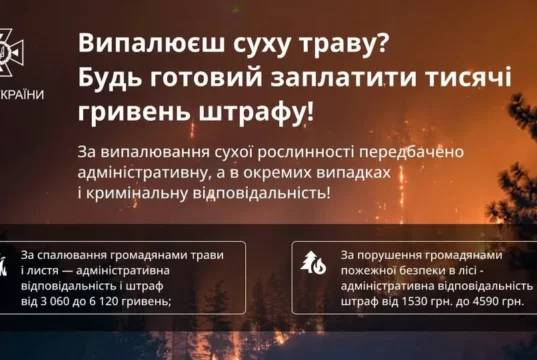 У Турійській громаді з початку року зафіксували 6 пожеж у природі