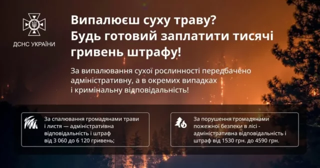 image У Турійській громаді з початку року зафіксували 6 пожеж у природі