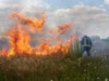 У Луцькому районі за добу загасили чотири пожежі в екосистемах У Луцькому районі за добу загасили чотири пожежі в екосистемах