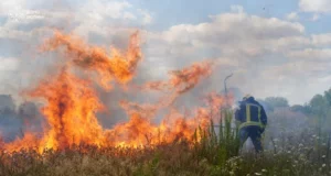 У Луцькому районі за добу загасили чотири пожежі в екосистемах