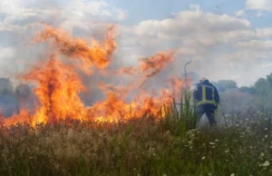 У Луцькому районі за добу загасили чотири пожежі в екосистемах