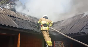 У селі Галичани ліквідували пожежу в господарській будівлі