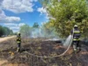 (Українська) На Волині за добу ліквідували кілька займань сухостою та торфу На Волині за добу ліквідували кілька займань сухостою та торфу