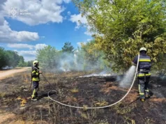 На Волині за добу ліквідували кілька займань сухостою та торфу На Волині за добу ліквідували кілька займань сухостою та торфу