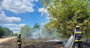 На Волині за добу ліквідували кілька займань сухостою та торфу