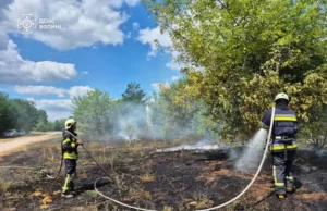 На Волині за добу ліквідували кілька займань сухостою та торфу