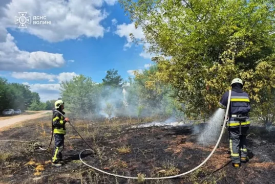 На Волині за добу ліквідували кілька займань сухостою та торфу